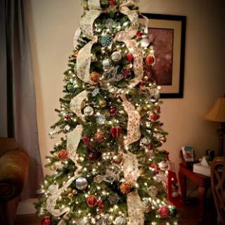 A beautifully decorated Christmas tree adorned with lights and ribbons, ready to celebrate the holiday season.