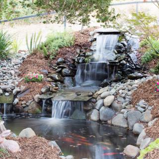 A serene garden pond with a cascading waterfall surrounded by rocks and greenery.
