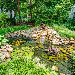 A tranquil garden pond surrounded by lush greenery and rocks.