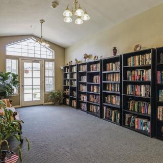 A quiet library room with bookshelves lining the wall, a large window allowing natural light, and plants adding greenery to the space.