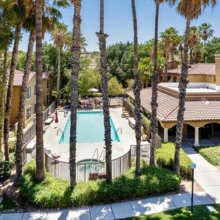 A serene outdoor pool surrounded by palm trees and buildings in a residential area.