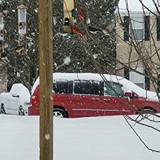 A snowy scene featuring a red car partially buried in snow, surrounded by a residential area.
