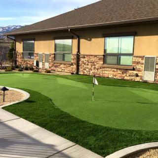 A backyard putting green with artificial turf, perfect for practicing golf.