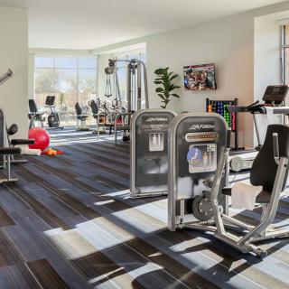 A modern gym with various exercise equipment and cardio machines.