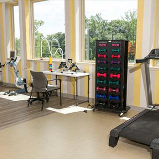 A bright, well-equipped gym with various fitness machines and a set of dumbbells.