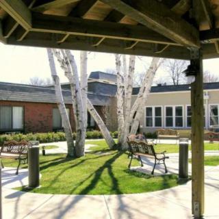 A peaceful courtyard with birch trees and benches, basking in sunlight.