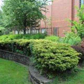 A landscaped garden with lush greenery and shrubs beside a brick building.