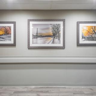 Three framed paintings displayed in a row on a gallery wall.