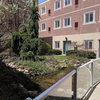 A sunny view of a building with a landscaped garden and trees, featuring multiple windows and a pathway.