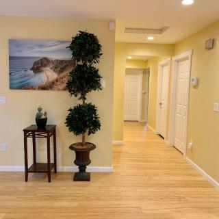 A neatly decorated hallway with wooden flooring, featuring a tall plant and a scenic painting on the wall.