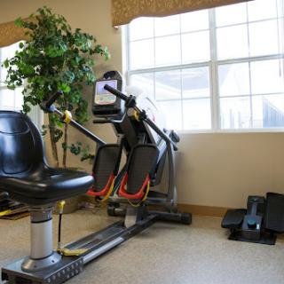 A well-equipped home gym featuring a workout machine and an indoor plant by the window.