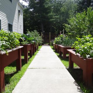 A serene garden pathway lined with raised vegetable beds, leading through lush greenery.