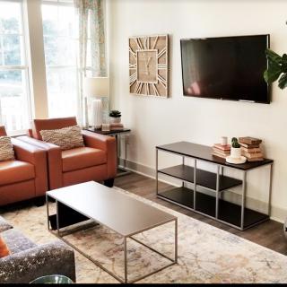A modern living room with armchairs, a coffee table, TV, and wall art, all illuminated by natural light.