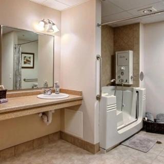A modern accessible bathroom featuring a walk-in bathtub and a wide sink with a large mirror.