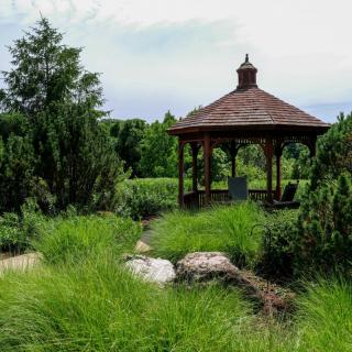 A serene garden scene featuring a wooden gazebo surrounded by lush greenery and trees.
