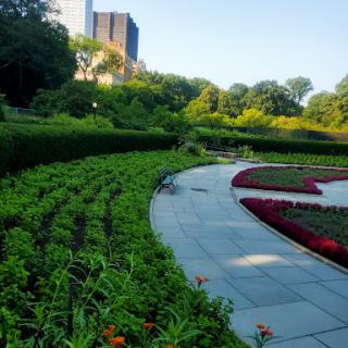A serene garden landscape featuring well-maintained flower beds and a winding pathway amidst urban surroundings.
