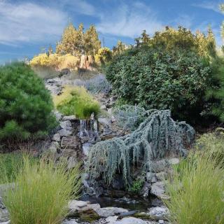 A serene garden landscape with lush greenery, shrubs, and grasses under a clear blue sky.