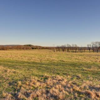 A scenic view of a grassy field with a line of trees under a clear sky at sunset.