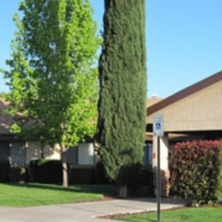 White Pine Care Center