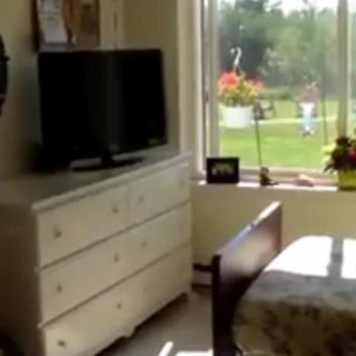 A cozy bedroom with a dresser and television, illuminated by sunlight streaming through a window overlooking a garden.