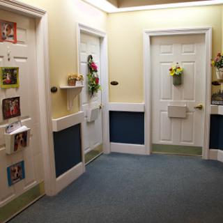 A well-lit hallway featuring multiple doors, decorated with plants and framed pictures.