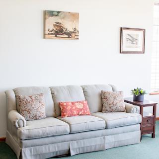 A cozy living room featuring a comfortable sofa adorned with decorative pillows, complemented by wall art and a small plant on the side table.