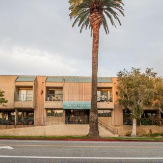 A commercial building with a palm tree in front, located along a street.