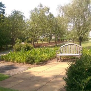 A serene park scene with a bench near a pathway surrounded by lush greenery and trees.
