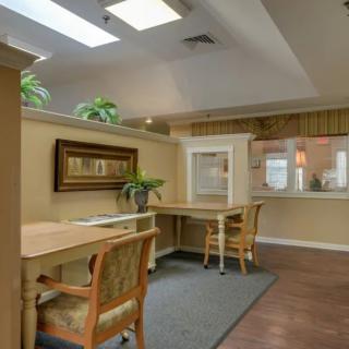 A cozy and well-lit office workspace with desks, chairs, plants, and wall artwork.