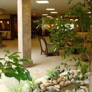 A tranquil indoor space featuring lush plants and a comfortable seating area.