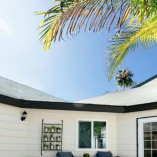 A cozy patio area with two chairs and a palm tree on a sunny day.