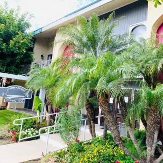 A building entrance surrounded by lush palm trees and vibrant landscaping.