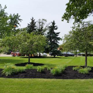 A scenic view of a well-maintained park with lush grass and trees.