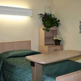 A hospital room with a single bed, over-bed table, and potted plants.