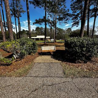 A serene park pathway leading to a wooden bench surrounded by lush greenery and tall trees.