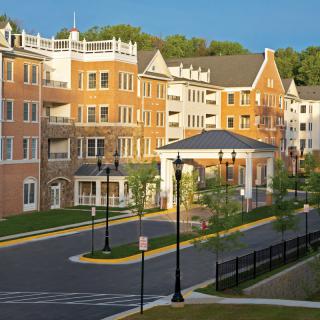 The Woodlands