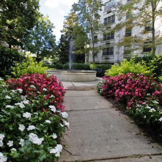 A scenic garden pathway lined with colorful flowers leads to a fountain, with a building in the background.