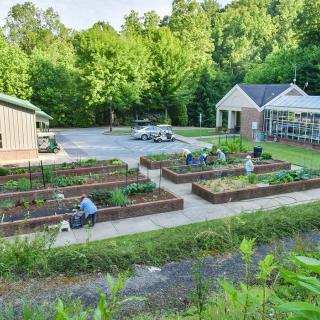 A community garden with raised beds and a greenhouse, surrounded by trees, with people gardening near a parking lot.