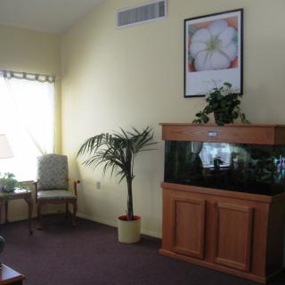 A cozy living room with an aquarium and indoor plants.