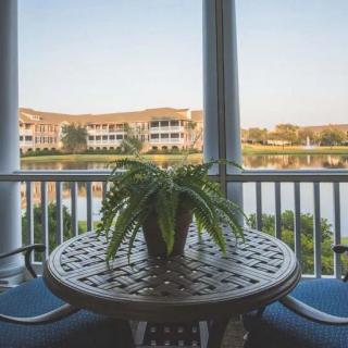 A peaceful balcony scene with a table and plant overlooking a lake and residential buildings.