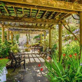 A peaceful garden with a wooden pergola, surrounded by lush greenery and vibrant flowers, bathed in sunlight.