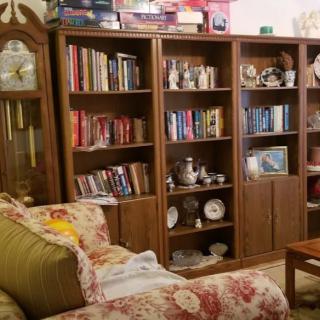 A cozy living room featuring bookshelves filled with books and collectible items, alongside a floral-patterned couch.