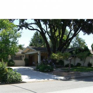 A suburban house with a driveway and large trees in the front yard.