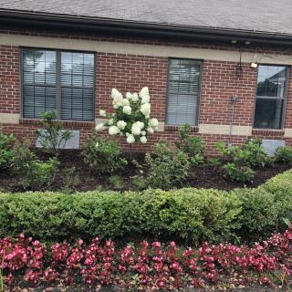 A landscaped garden in front of a brick building with vibrant flowers and greenery.