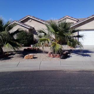 A suburban house with palm trees in the front yard and a driveway.