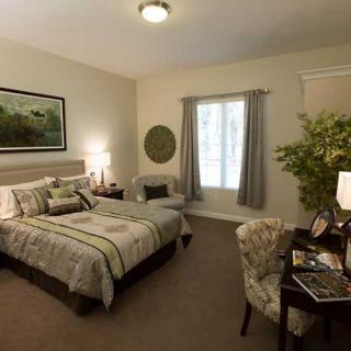 A cozy and well-decorated bedroom with a large bed, desk, lamp, and indoor plant enhancing the ambiance.