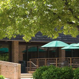 A restaurant patio area shaded by trees with green umbrellas.