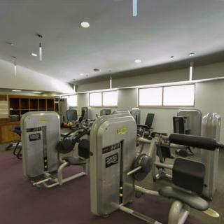 A gym with various exercise machines lined up in a well-lit room.