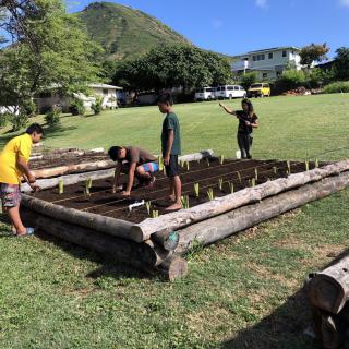 A group of people working together on a gardening project outdoors.