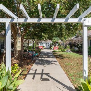 A sunny garden pathway with a white pergola and lush greenery.